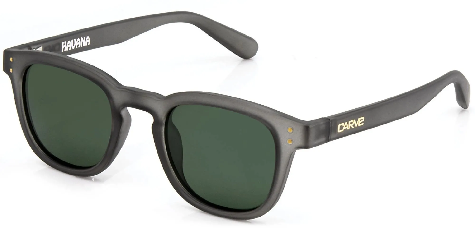 Carve Havana Polarized Sunglasses