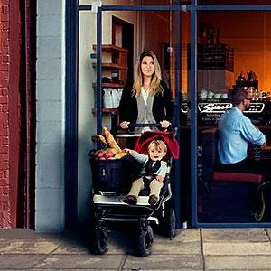 Mountain Buggy Joey Complete With Tote Bags And Frame For Duet